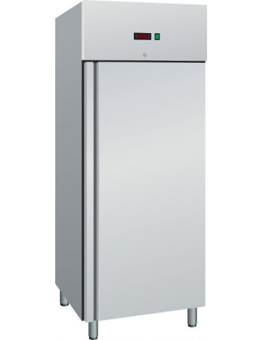 Armadio Refrigerato Ventilato 60x80 - Luce Led - AK804TN