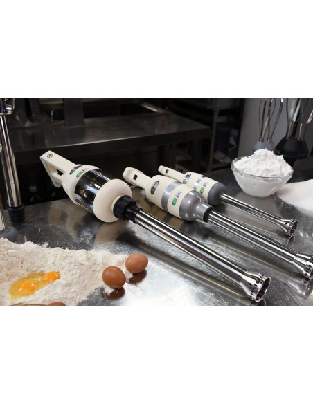 Frullatore ad Immersione 450W Omogeneizzatore a Scelta - FM450VV