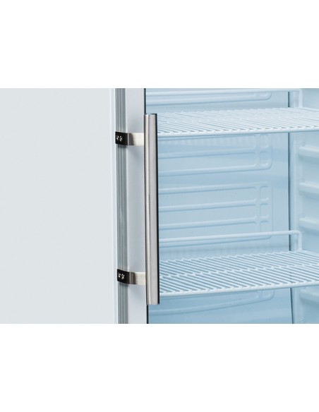 Frigorifero Abs Porta a Vetro - Capacitò 600Lt - 5 Ripiani - CRG6