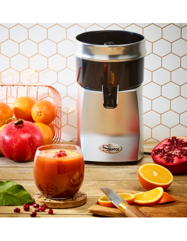 Spremiagrumi Elettrico Cromato con Speciale Pigna - SP71C