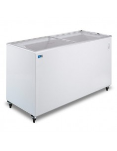 Pozzetto Congelatore Vetro Scorrevoli Piatto 430 Lt - FVS500