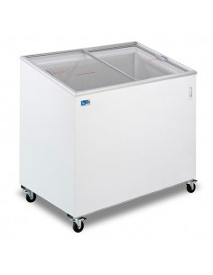 Congelatore Pozzetto 325 Lt Vetro Curvo Scorrevole - FIVS400