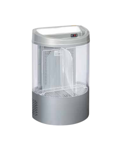 Frigorifero Bevande Pozzetto Acciaio Grigio Capacità 110Lt - FT110
