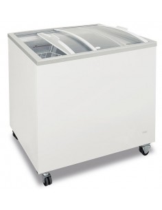 Congelatore Pozzetto Vetro Curvo Scorrevole 393 Lt - FR400PAC