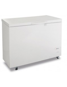Congelatore Pozzetto Porta Cieca Battente Capacità 458Lt FR500PSK