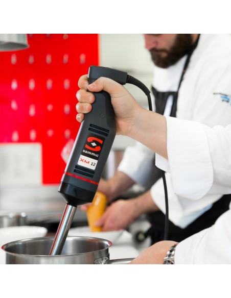 Frullatore ad Immersione Variatore Velocità Asta 22,3 cm - XM12
