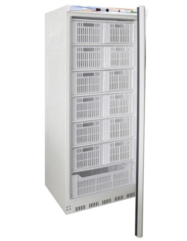 Armadio Congelatore Verticale con 13 Cassette - G-EF600CAS
