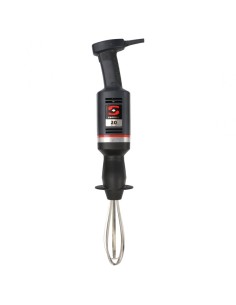 Mixer ad Immersione 300W con Frusta e Velocità Variabile - B20