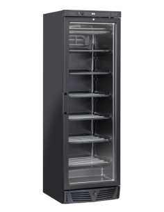 Congelatore Verticale Nero Porta Battente Capacità 300Lt - TNG390B