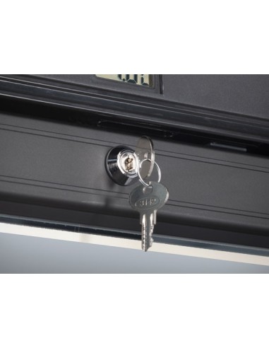 Congelatore Verticale Nero Porta Battente Capacità 300Lt - TNG390B