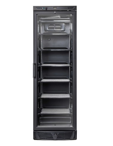 Congelatore Verticale Nero Porta Battente Capacità 300Lt - TNG390B