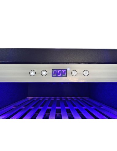 Cantinetta per Vino Porta Vetro Doppia Temperatura - CW518DT