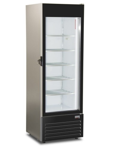 Congelatore Verticale FROST350 NS Grigio Griglie Refrigerate 323Lt