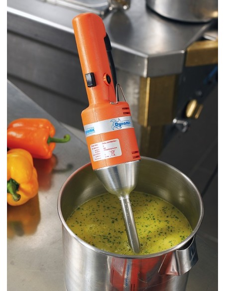 Mixer Immersione 250W con Coltello Standard - MD95