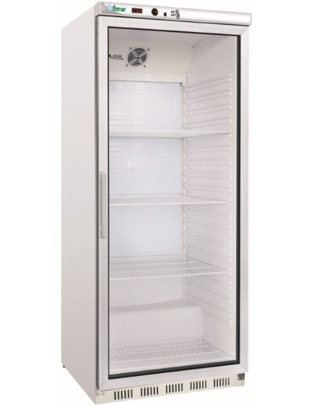 Armadio Frigo Verticale Lamiera e Abs Porta Vetro - G-ER600G