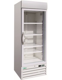 Congelatore Verticale Porta Vetro Capacità 578 Lt - G-SNACK420BTG