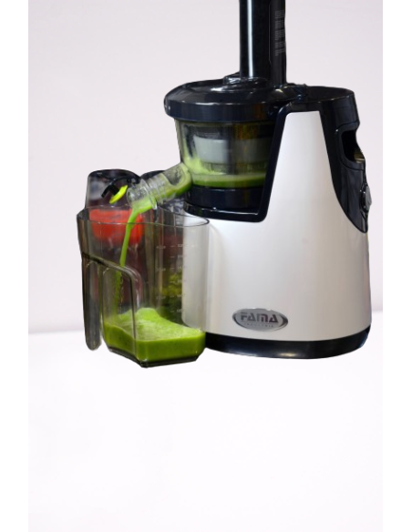 Estrattore di Succo Domestico Bianco 150 W 3 Filtri Inclusi - FES102B