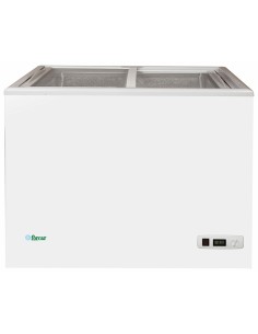 Pozzetto Congelatore Porte Vetro Scorrevoli Capacità 197 Lt - G-SD200S