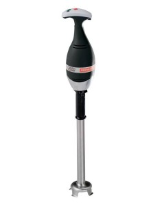 Frullatore ad Immersione Potenza 750W Asta da 553 mm
