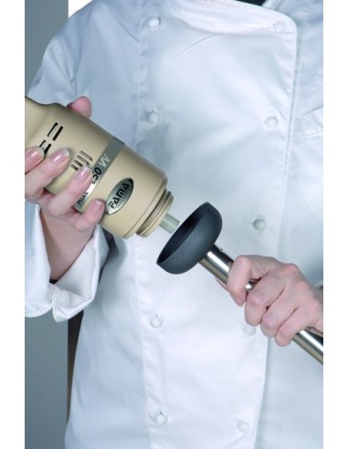 Frullatore ad Immersione FM250VV250 Variatore Asta Mescolatore 25cm