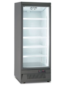Congelatore Murale Grigio Porta Battente da 560 Lt - MR75BT1 GRY