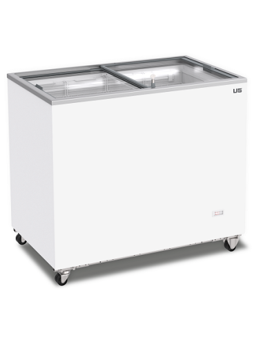 Congelatore a Pozzetto Vetro Scorrevole Piatto Capacità 295 Lt