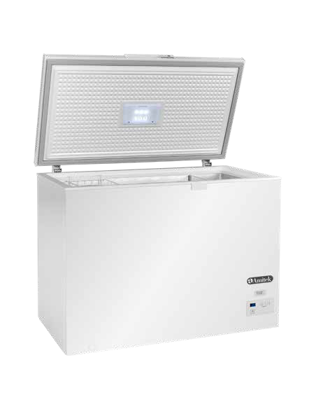 Pozzetto Congelatore o Frigorifero Porta Battente 282 Lt - AX300CDN