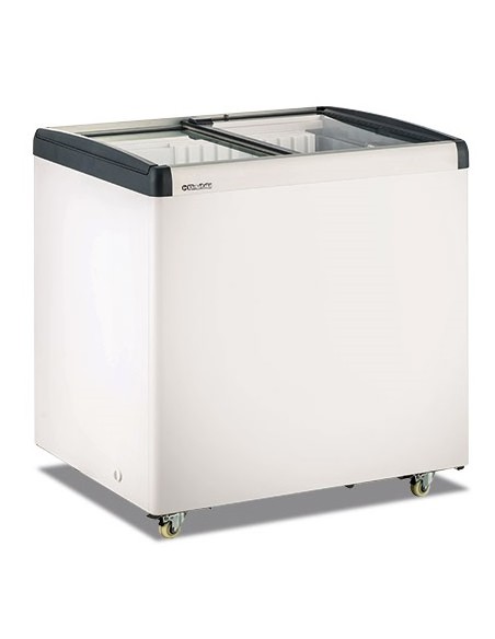 Frigo Congelatore a Pozzetto 256 Lt Vetro Scorrevole - FRC200PFF