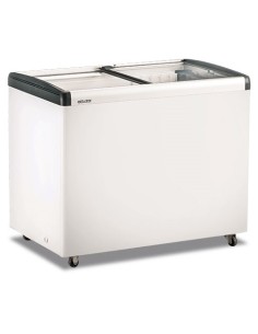Frigo Congelatore a Pozzetto Capacità 336 Lt Vetro Piatto Scorrevole