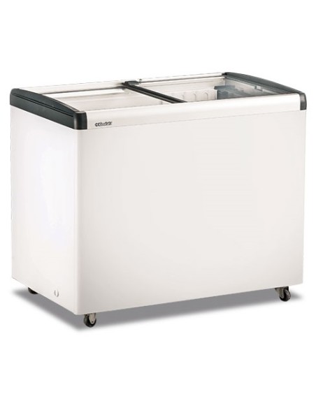 Frigo Congelatore a Pozzetto Capacità 336 Lt Vetro Piatto Scorrevole