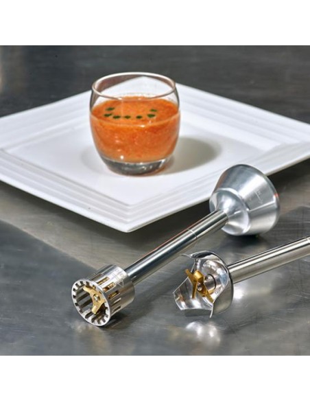 Frullatore Immersione Gelato Serie Master 600W Lunghezza Asta 40cm