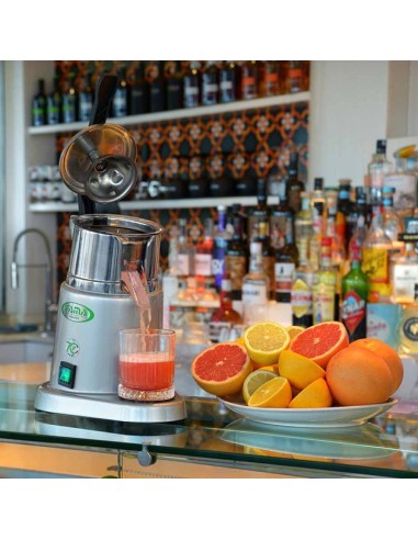 Spremiagrumi Elettrico a Leva con Pigna in Abs Estraibile - MSP2