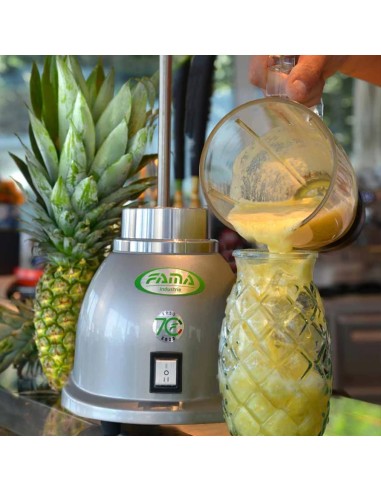 Frullatore Singolo con Bicchiere Trasparente - 4 Lame Inox - MT1