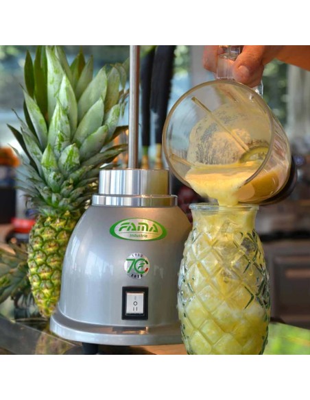 Frullatore Singolo con Bicchiere Trasparente - 4 Lame Inox - MT1