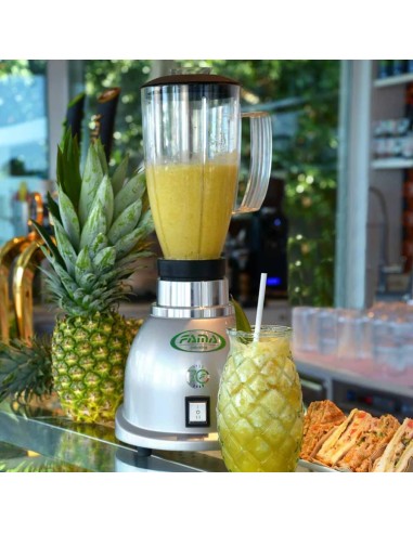 Frullatore Singolo con Bicchiere Trasparente - 4 Lame Inox - MT1