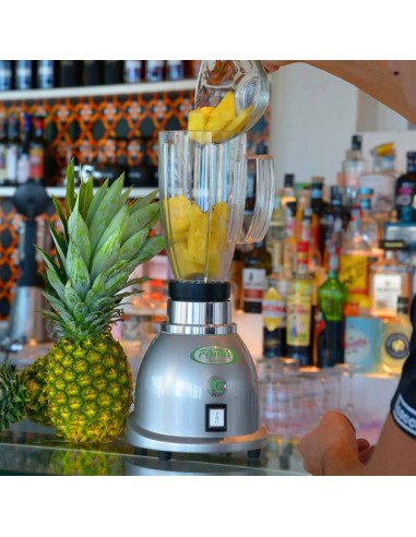 Frullatore Singolo con Bicchiere Trasparente - 4 Lame Inox - MT1