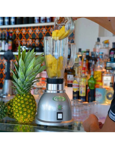 Frullatore Singolo con Bicchiere Trasparente - 4 Lame Inox - MT1