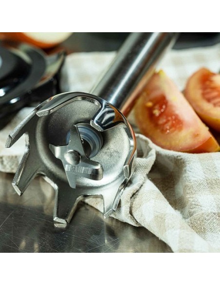 Asta Multifunzione 200 mm per Frullatore Immersione Fama Industrie