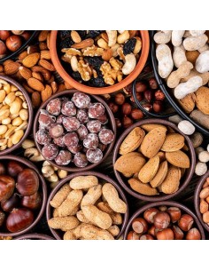 Lama Seghettata per Cutter Cucina Verticale Fama Industrie L3