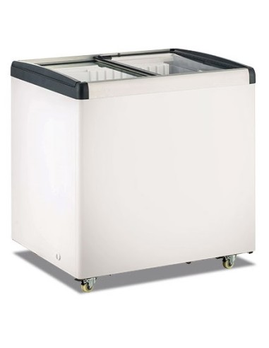 Frigo Congelatore a Pozzetto 256 Lt Vetro Piatto Scorrevole