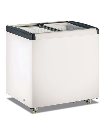Frigo Congelatore a Pozzetto 256 Lt Vetro Piatto Scorrevole