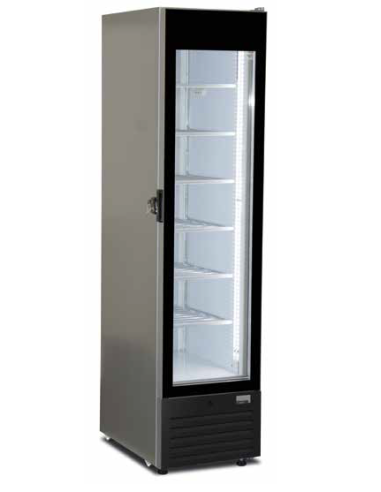 Vetrina Congelatore FROST250 NS Verticale Porta Vetro Grigio Silver