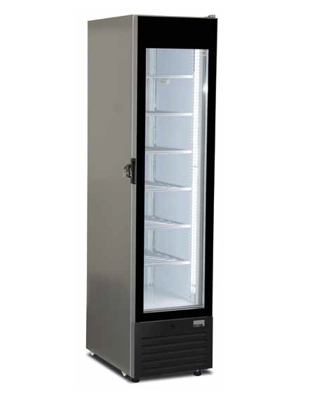 Vetrina Congelatore FROST250 NS Verticale Porta Vetro Grigio Silver