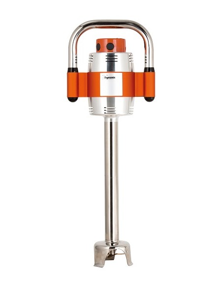 Frullatore Immersione per Miscela Gelato Mixer ed Emulsionatore 400 mm