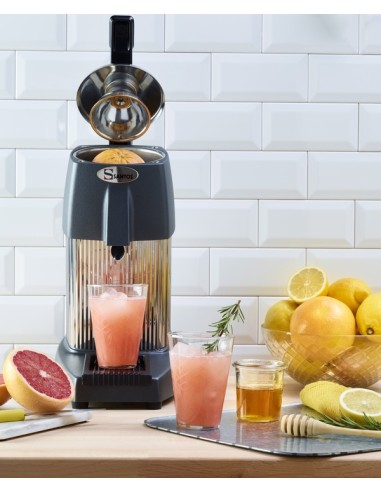 Spremiagrumi Elettrico con Leva Verniciato Grigio Speciale Pigna