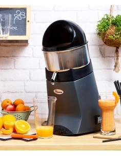 Spremi agrumi Elettrico Verniciato Grigio Produzione Oraria 40 lt
