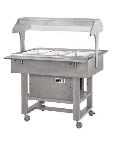 Carrello Refrigerato Bassa Temperatura Colore Grigio 3XGN1/1
