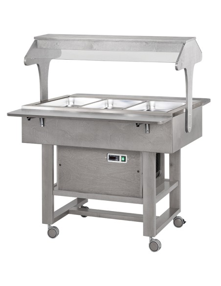 Carrello Refrigerato Bassa Temperatura Colore Grigio 3XGN1/1