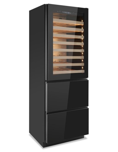 Frigorifero Vino da Incasso Ventilato 2 Temperature