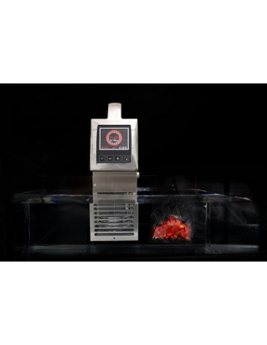 Roner per Cottura Bassa Temperatura Vasca Max 56 Lt - SMARTVIDE9